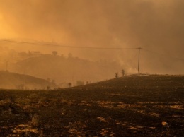 Жители Афин жалуются на невыносимо плохой воздух из-за лесных пожаров