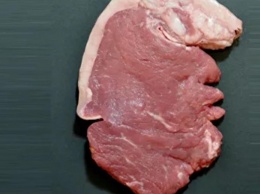 Кусок мяса в виде лица Трампа выиграл всемирный конкурс