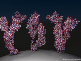 Сколько нужно антител, чтобы быть надежно защищенным от коронавируса?