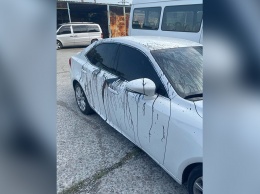 Авторский дизайн авто: в Днепре вандалы облили смолой белый Lexus