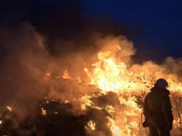 Украина в огне: Масштабные пожары видны из космоса