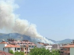 Лесной пожар произошел возле международного аэропорта в Турции