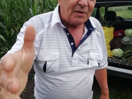 Несколько кочанов капусты и больше сотни луковиц. Житель Чорткова обвинил бывшего мэра в краже с огорода. Фото