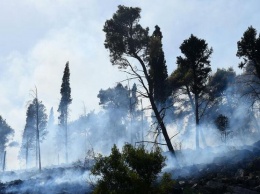 Европа горит: еще две страны охватили лесные пожары (фото)