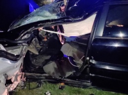 В Днепропетровской области Opel слетел с трассы и врезался в дерево: пострадавшего из авто доставали спасатели
