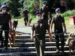 Парад собак, участвовавших в АТО/ООС, прошел во Львове (ФОТО)
