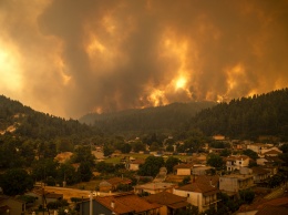 Власти Греции извинились за просчеты в ликвидации лесных пожаров