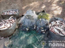 На Полтавщине водные полицейские обнаружили около 300 килограммов незаконно выловленной рыбы