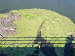 Экологи советуют не купаться в реке Тетерев, куда попали сточные воды