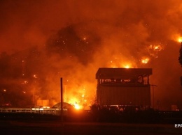 В результате лесных пожаров в Алжире погибли 42 человека