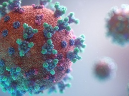 Американский штамм коронавируса повышает смертность от COVID-19 до 82% - исследование