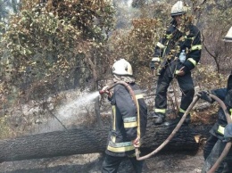 Пожары в Греции: украинские спасатели поразили успехами