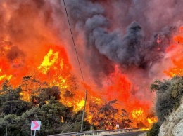 В Турции празднуют "победу" над крупными лесными пожарами