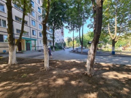В рамках проекта мэра Константина Павлова на 4-м Заречном этой осенью высадят деревья и кустарники