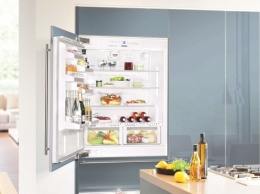 Возможности встраиваемых холодильников Electrolux и рекомендации по их установке