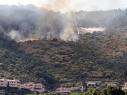 В пригородах Рима эвакуируют людей из-за лесных пожаров