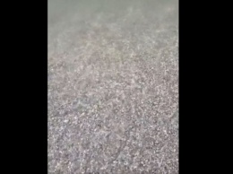 Пора на отдых - идеально чистое море без медуз на Херсонщине показали на видео