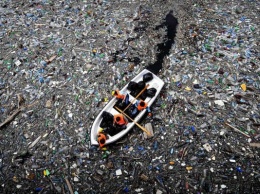 «Пластосфера»: на мусорных островах в океане сформировалась своя экосистема