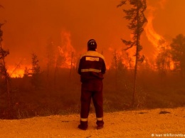 Площадь лесных пожаров в России может стать рекордной
