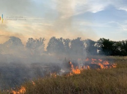 В Харьковской области объявлена наивысшая степень пожарной опасности