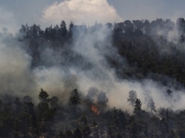 Возле Иерусалима - масштабный лесной пожар