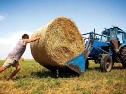 В Украине на фермеров приходится лишь 10% агропроизводства