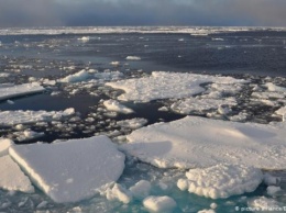 В Арктике обнаружили бактерии, способные разъедать разливы нефти и мазута