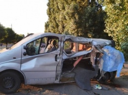 В Черкасской области микроавтобус врезался в дерево - погибла девушка, семь человек травмированы