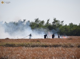 За сутки на территории Николаевской области выгорело 50 га открытых территорий (ФОТО)