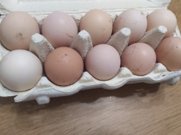 Харьковчан ждет подорожание яиц