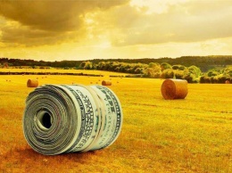 От подсолнечника до свеклы: названы самые рентабельные и убыточные отрасли сельского хозяйства в Украине