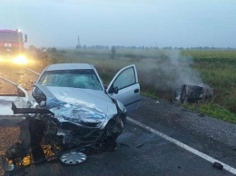 На трассе под Мелитополем в результате ДТП загорелся автомобиль, водитель и пассажиры погибли, - ФОТО
