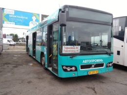 Терновчане в восторге от новых европейских автобусов