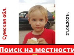 В соседней области пропал маленький ребенок с аутизмом. Нужны волонтеры из Харькова