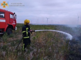 Чаплынские спасатели потушили пожар сухостоя