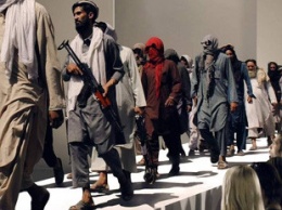 Талибы-хипстеры насмешили соцсети