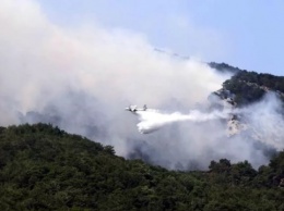 В Турции вспыхнули новые лесные пожары