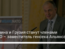 Украина и Грузия станут членами НАТО - заместитель генсека Альянса