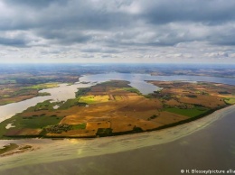 В Германии запретили заниматься сексом в траве