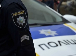 В Запорожской области пьяная пассажирка авто избила полицейского