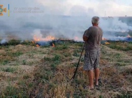 Огонь охватил 1500 квадратных метров. Под Харьковом поджигатель устроил масштабный пожар