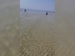 Теплая вода почти без медуз: херсонцы показали как сегодня выглядит море в Лазурном