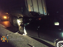 В Запорожской области произошло смертельное ДТП - легковушка влетела в грузовик