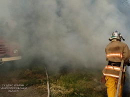 В селе под Никополем спасатели тушили возгорание в экосистеме