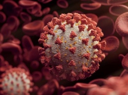 Китай просит ООН расследовать возможную утечку коронавируса из лабораторий США