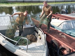 В Запорожской области несколько сотен раков выпустили из ловушек в Каховское водохранилище