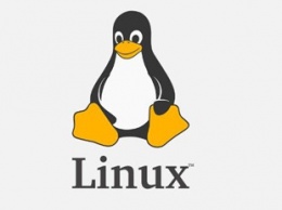 Эксперты перечислили 15 самых атакуемых уязвимостей в Linux