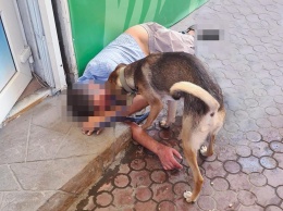 На запорожском рынке пес не давал никому подойти к хозяину, который потерял сознание
