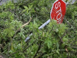 Из-за грозы более четырех километров дороги на Херсонщине завалены деревьями
