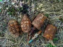 Поисковики нашли под Кривым Рогом ржавые боеприпасы
